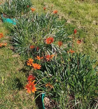 Full House 3* 卡沃斯