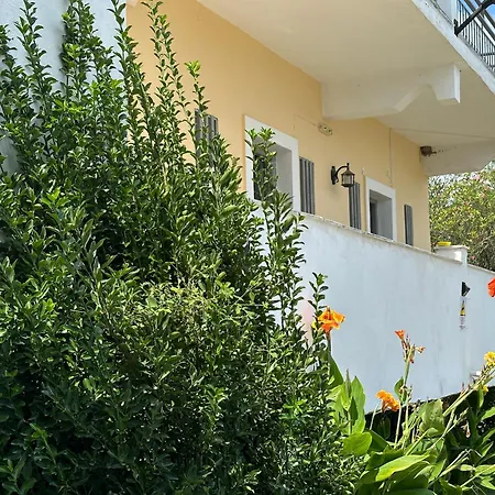 Full House 3* 卡沃斯