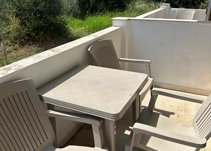 Full House 招待所