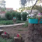 Full House